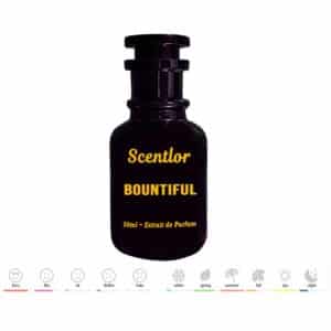 Bountiful Inspired by Allure Homme Sport