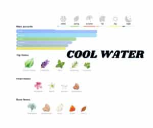 smell_it_Cool_Water_Eau_de_Toilette