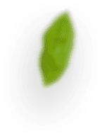 slider-layer8 slider-layer8